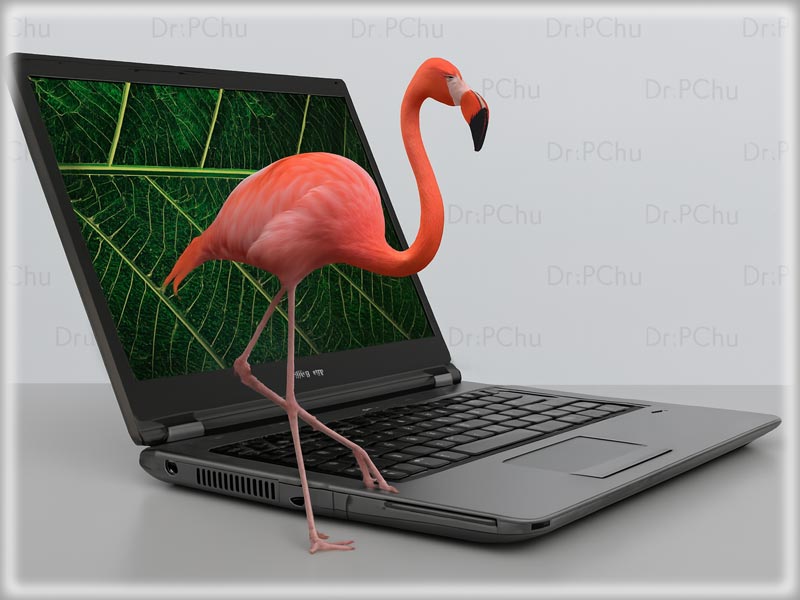 3XL választék XS árak: Fujitsu LifeBook E5410 -Dr-PC-nél